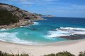 Albany Salmon Bay